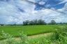 Land for sale in Buak Khang, Chiang Mai