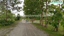 Land for sale in Nong Lom, Lampang