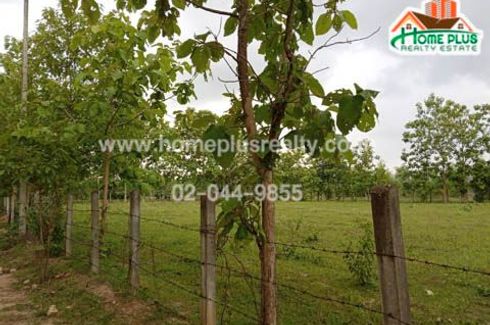 Land for sale in Nong Lom, Lampang