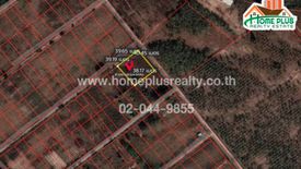 Land for sale in Nong Lom, Lampang