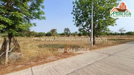 Land for sale in Nong Daeng, Maha Sarakham