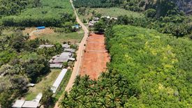 Land for sale in Khao Thong, Krabi