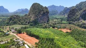 Land for sale in Khao Thong, Krabi