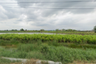 Land for sale in Bang Phriang, Samut Prakan