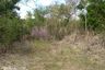 Land for sale in Ban Krang, Suphan Buri