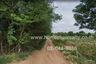 Land for sale in Pru Yai, Nakhon Ratchasima