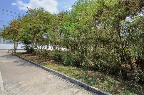 Land for sale in Nong-Kham, Chonburi