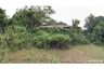 Land for sale in Wiang, Chiang Mai