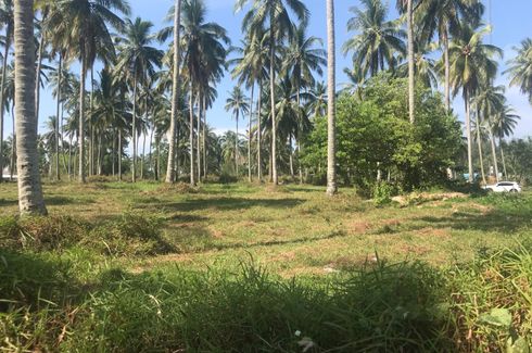 Land for sale in Khok Kloi, Phang Nga