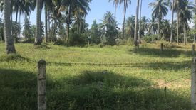 Land for sale in Khok Kloi, Phang Nga