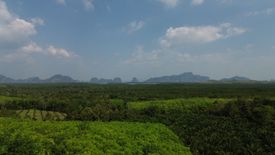 Land for sale in Kalai, Phang Nga