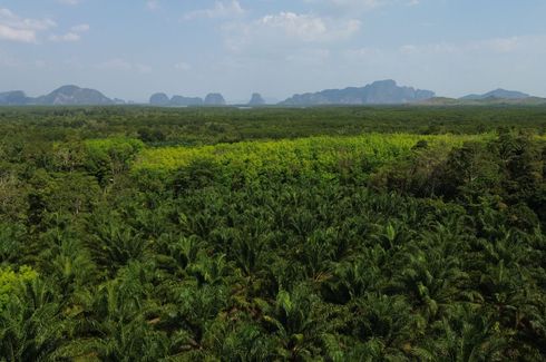 Land for sale in Kalai, Phang Nga