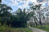 Land for sale in Khok Kloi, Phang Nga