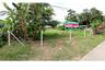 Land for sale in San Sai, Chiang Rai