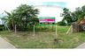 Land for sale in San Sai, Chiang Rai