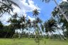 Land for sale in Khok Kloi, Phang Nga