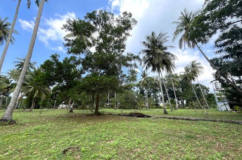 Land for sale in Khok Kloi, Phang Nga