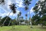 Land for sale in Khok Kloi, Phang Nga