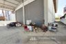 Warehouse / Factory for rent in Khlong Phra Udom, Pathum Thani