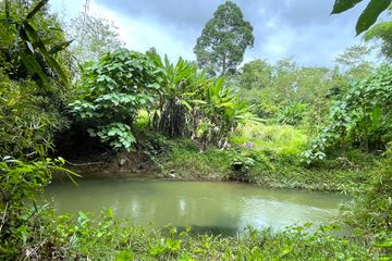 Land for sale in Na Toei, Phang Nga