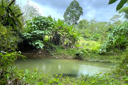 Land for sale in Na Toei, Phang Nga