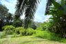 Land for sale in Na Toei, Phang Nga