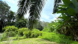 Land for sale in Na Toei, Phang Nga