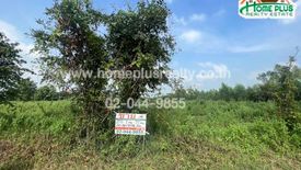 Land for sale in Khao Sai, Phichit