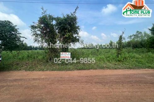 Land for sale in Khao Sai, Phichit