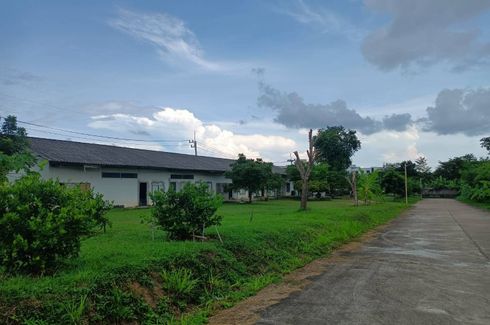 Land for sale in Nong Prue, Chonburi