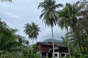 Land for sale in Na Toei, Phang Nga