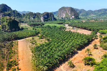 Land for sale in Ao Nang, Krabi