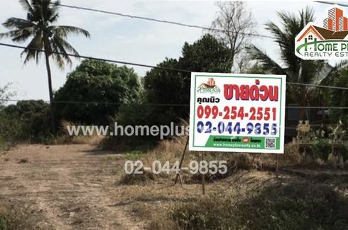 Land for sale in Ton Thong, Lamphun