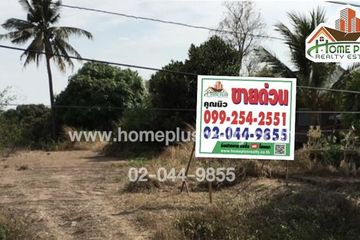 Land for sale in Ton Thong, Lamphun