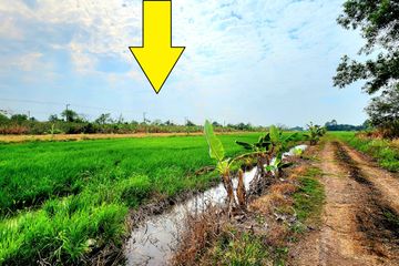 Land for sale in Bueng Yitho, Pathum Thani
