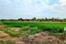 Land for sale in Bueng Yitho, Pathum Thani