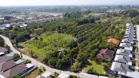 Land for sale in Tha Wang Tan, Chiang Mai