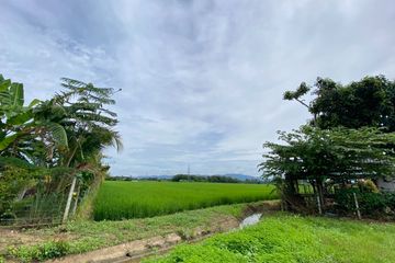 Land for sale in Mueang Kaeo, Chiang Mai