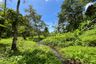 Land for sale in Si Sunthon, Phuket
