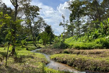 Land for sale in Si Sunthon, Phuket