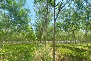 Land for sale in Thep Krasatti, Phuket