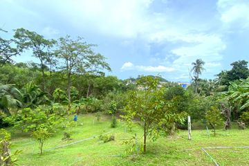 Land for sale in Talat Yai, Phuket