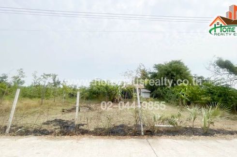 Land for sale in Nong Phak Nak, Suphan Buri