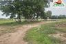 Land for sale in Pong Nok, Chaiyaphum