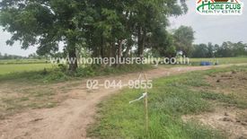 Land for sale in Pong Nok, Chaiyaphum