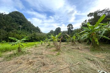 Land for sale in Ao Nang, Krabi