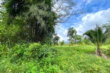 Land for sale in Khuekkhak, Phang Nga