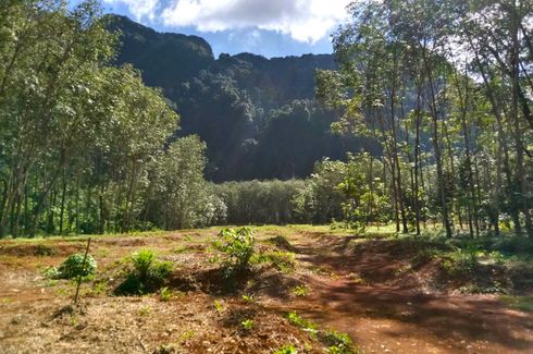 Land for sale in Khao Thong, Krabi