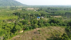 Land for sale in Na Toei, Phang Nga