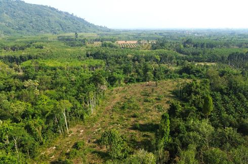 Land for sale in Na Toei, Phang Nga